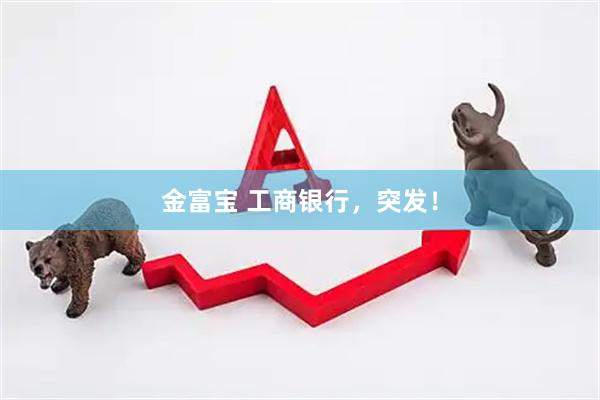 金富宝 工商银行，突发！