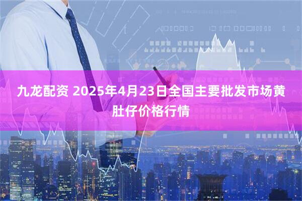 九龙配资 2025年4月23日全国主要批发市场黄肚仔价格行情