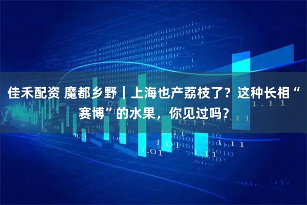 佳禾配资 魔都乡野｜上海也产荔枝了？这种长相“赛博”的水果，你见过吗？