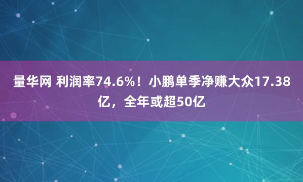 量华网 利润率74.6%！小鹏单季净赚大众17.38亿，全年或超50亿