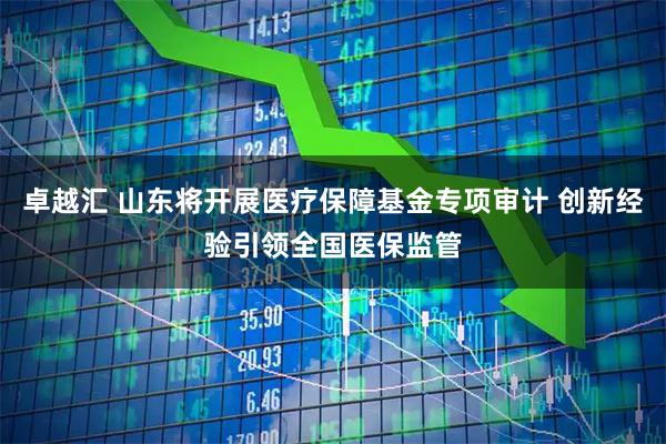 卓越汇 山东将开展医疗保障基金专项审计 创新经验引领全国医保监管