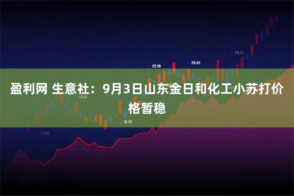 盈利网 生意社：9月3日山东金日和化工小苏打价格暂稳